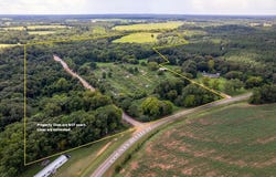 0 County Road 99, Chancellor, AL 36316