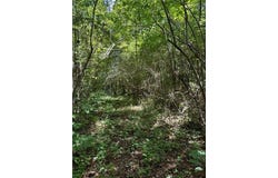 5.2ac Dutton Road, Gloucester, VA 23061
