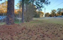 10328 Ga Highway 29, Soperton, GA 30457