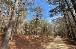 1 Evans Road, Carthage, MS 39051