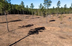Lot B Millville Road, Lawrenceville, VA 23968