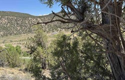 TBD Road G, Cortez, CO 81321