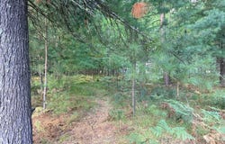 ON DEERWOOD CIR, Minocqua, WI 54548