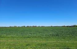 0 Hedge Rd, Coleman, OK 73432