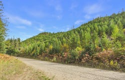 3099 Bear Creek Rd, Kingston, ID 83839