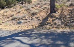 757 Dancing Bears lot: 102, Portola, CA 96122