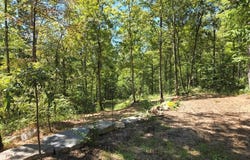 1354 E Obey Lane lot: 413, Wilder, TN 38589