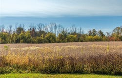 Hoag Road, Rome, NY 13440