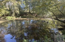 0TBD Kelly Mill Rd, Stuart, VA 24171