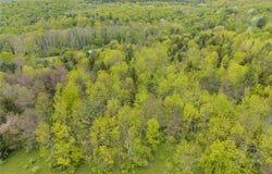 Lot 7B Blackman Hill Road, Caroline, NY 13736