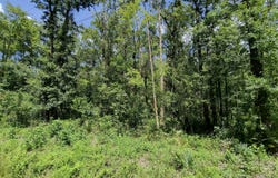 10710 UNDERWOOD Avenue, Hastings, FL 32145