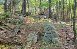 00 Maple Ridge Rd, DeKalb Junction, NY 13642