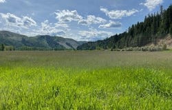 NKA ST JOE RIVER Rd, St. Maries, ID 83861