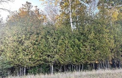 Kay Dr K1, Stephenson, MI 49887