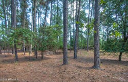 245 Pine Vista Drive, Pinehurst, NC 28374