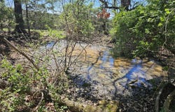 BERRY FARM RD lot: 5, STAUNTON, VA 24401