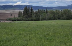 NKAParcel2 Desmet Rd, Desmet, ID 83824
