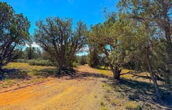 61 Norma Rd Lot B 10 Acres, Ash Fork, AZ 86320