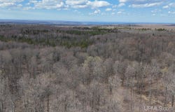 TBDNE Dogpatch Road, L'Anse, MI 49946
