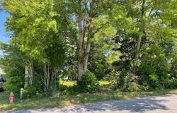 0 Dalton Street, Chipley, FL 32428