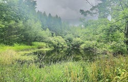 3776 State Highway 80, Sherburne, NY 13460