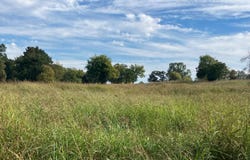 TBD** Alicia Lane, Howe, OK 74940