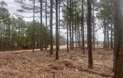 2985  Carrollton Road, Grenada, MS 38901