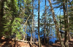ON SHADY SHORE RD E, Tomahawk, WI 54487