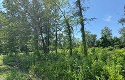 Denver Avenue, Lorain, OH 44055