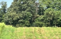 Antioch Church Road, Alvaton, KY 42122