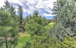 2502 E GRAPEVINE Drive lot: 347, Payson, AZ 85541