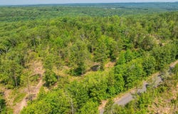 Tract 5 Harmony Mountain Road, Clinton, AR 72031