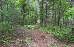 000 Beckley Rd., Camp Creek, WV 25820