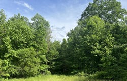 0 Bolton Road, Jasper, TN 37347