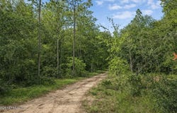 DELAWARE Terrace, Interlachen, FL 32148