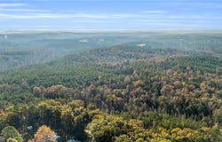 661 Cedar Tree, Vernon, AL 35592