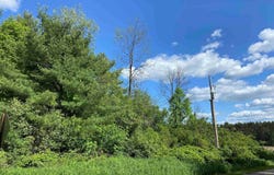 228835 Hawthorne Lane, Wausau, WI 54403