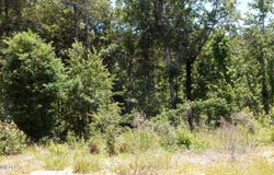 806 Hugh White State Park Road, Grenada, MS 38901