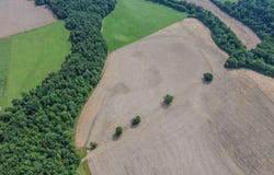 00 Old Belltown Mill Road Road, Tellico Plains, TN 37385