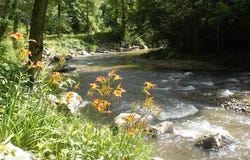 Tbd Bear River Lodge Road, Marshall, NC 28753