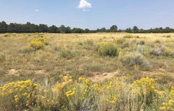 70 Alpenview Meadows Drive, Ridgway, CO 81432
