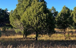 73 Silver Feather Trail, Pecos, NM 87552