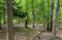 1.10 Marsh Rd., Vienna, NY 13042
