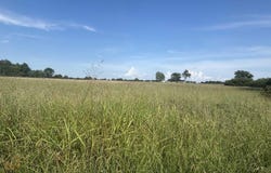 140 Alford Road, Bald Knob, AR 72010