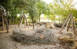4307 Blackberry Lane, Oak Point, TX 75068