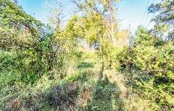 4591 Highway W, House Springs, MO 63051