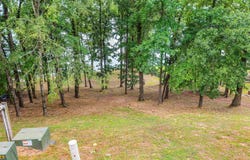 240 BREATHTAKING, Savannah, TN 38372