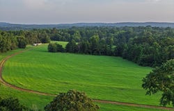 205 County Road 2301, Rusk, TX 75785