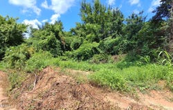 Gray Academy Road, Ashland, MS 38603