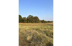 1024 White Rd., Gleason, TN 38229-0000